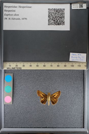 Media type: image;   Entomology 197388
